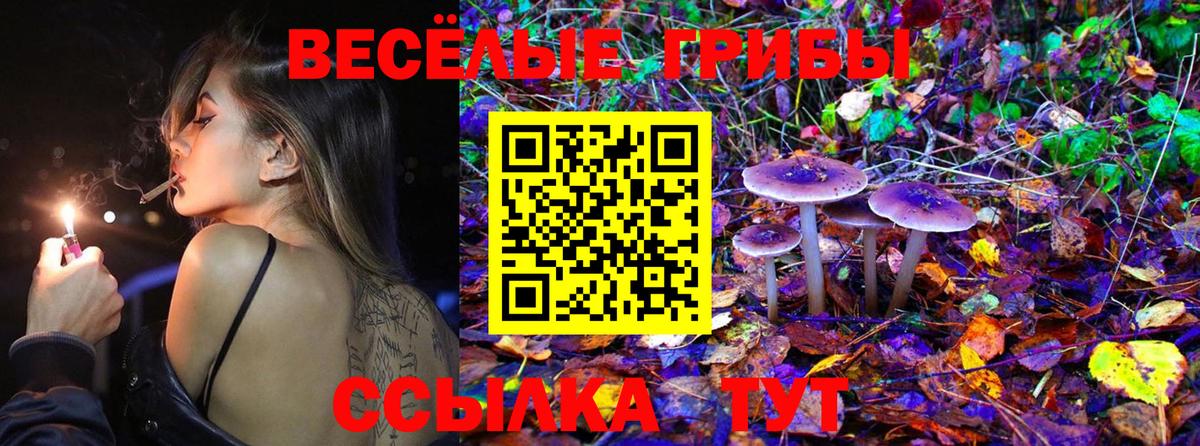 магазин продажи наркотиков  Вход с VPN  Санкт-Петербург  Псилоцибиновые грибы ЛСД 
